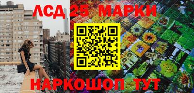 гидра Свободный